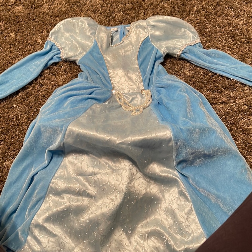 Cinderella princess costume